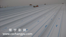 �����X�V�i�呪(y��ng)�ð���_�������Q(m��o)�I(y��)�W(xu��)Ժ�X�V��