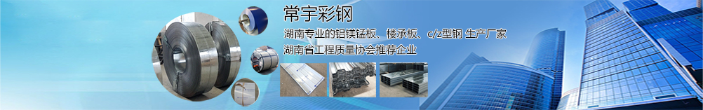 新聞欄目頁廣告