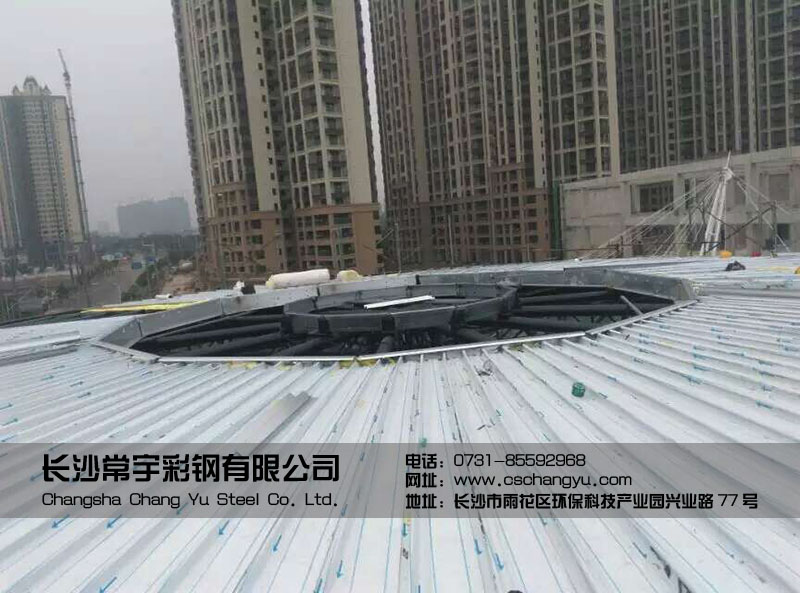 �X�V�i��r��